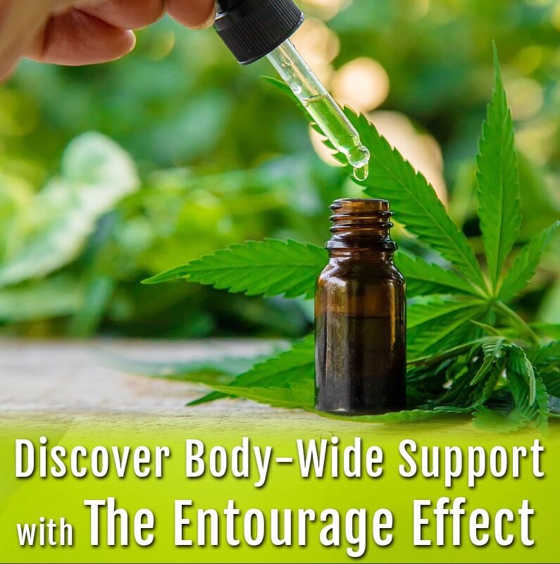 Find CBD Locally at Panther Canna & Let Us Help You Harness the Entourage Effect for Optimal #CBD Benefits

Were you aware that CBD is just one among the 100-plus compounds present in Hemp plants? Thanks to the #EntourageEffect, CBD and fellow cannabinoids, like #CBN or #CBG,…