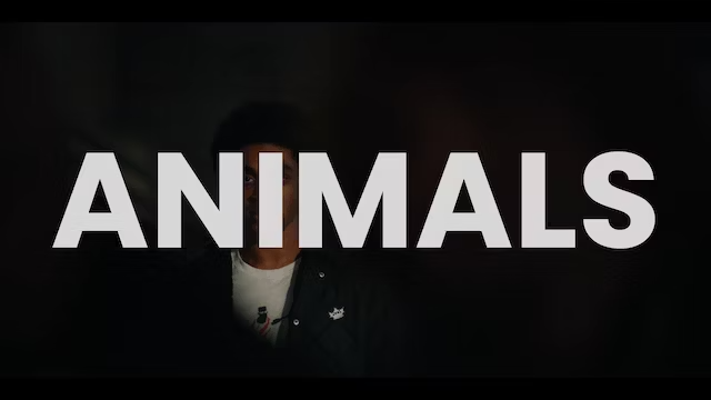 After his roommate fights back against the officers Jordan must forge his way through an unknown world of #racism and #whiteprivilege. Watch 'Animals' on our E2AC+ streaming channel (from home, for free): e2ac.vhx.tv/nyc-social-imp… #documentary