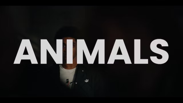 After his roommate fights back against the officers Jordan must forge his way through an unknown world of #racism and #whiteprivilege.

Watch "Animals" on our E2AC+ streaming channel (from home, for free): e2ac.vhx.tv/nyc-social-imp…

#documentary