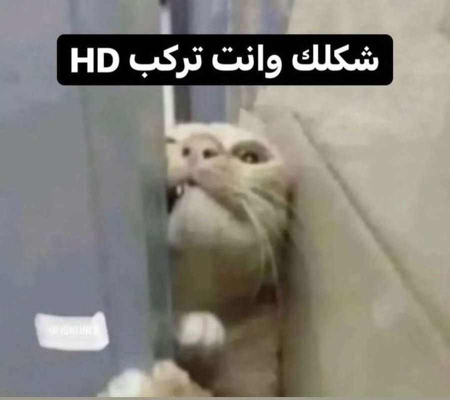 GAMES4FANS1's tweet photo. اصعب شي 😂 https://t.co/kGLPlGsZEE