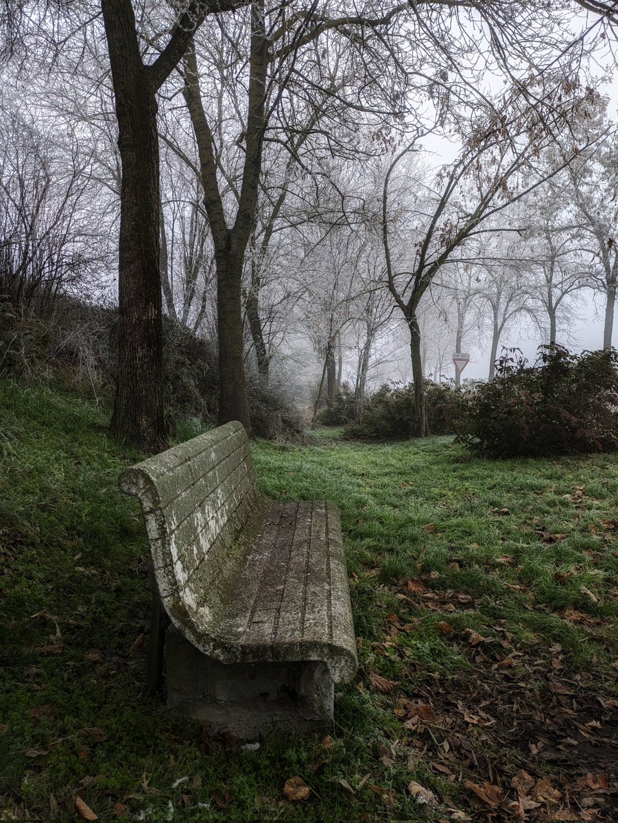 rettetangenti74's tweet photo. Sit down please
#brench #panchina #photography #fotografia #inverno #winter https://t.co/Gcjpx7Z6KQ