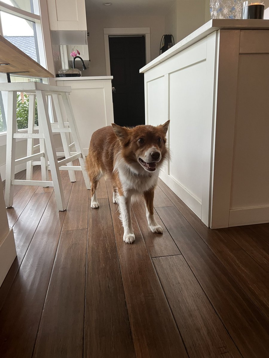 averybadplan's tweet image. 