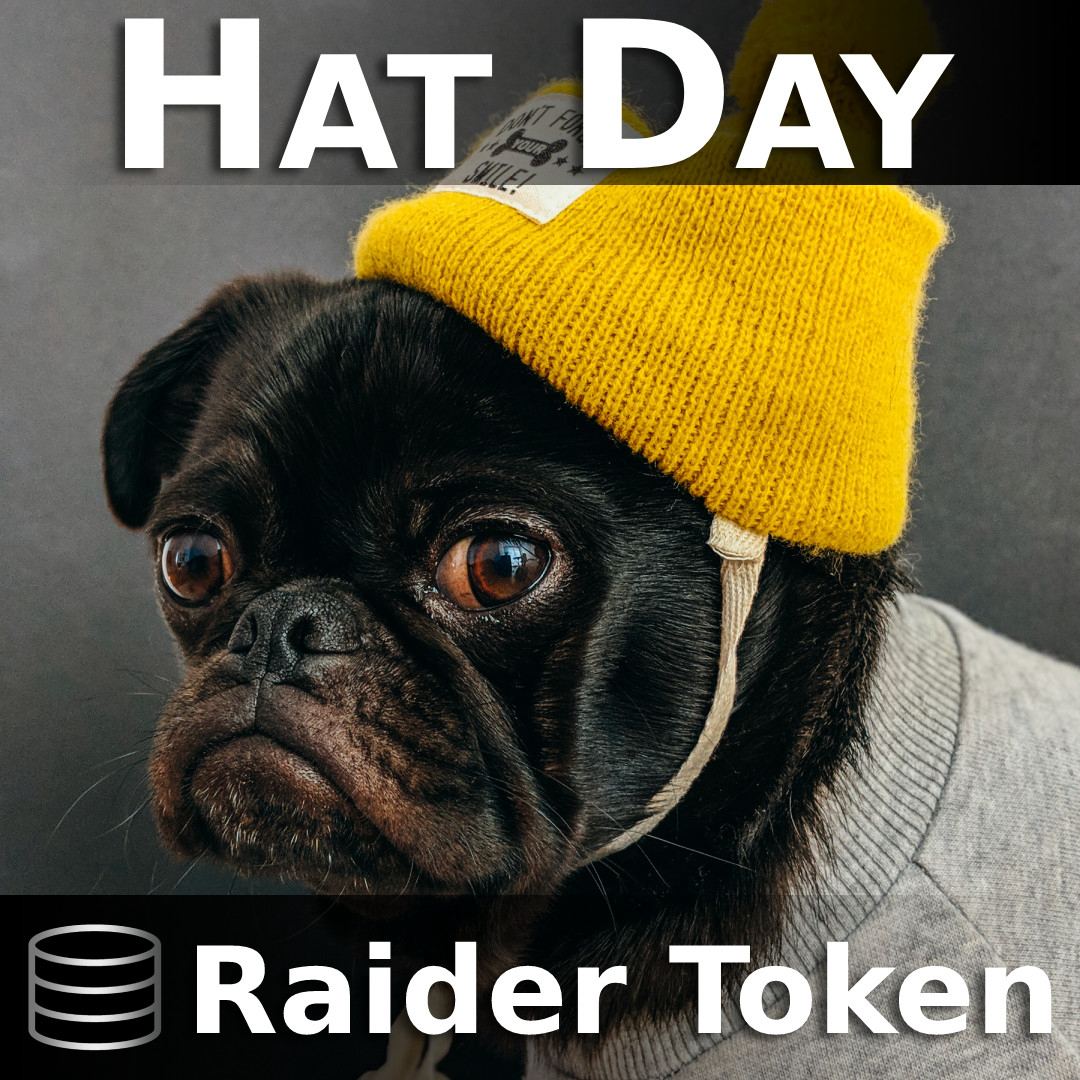 Raider Token tweet media