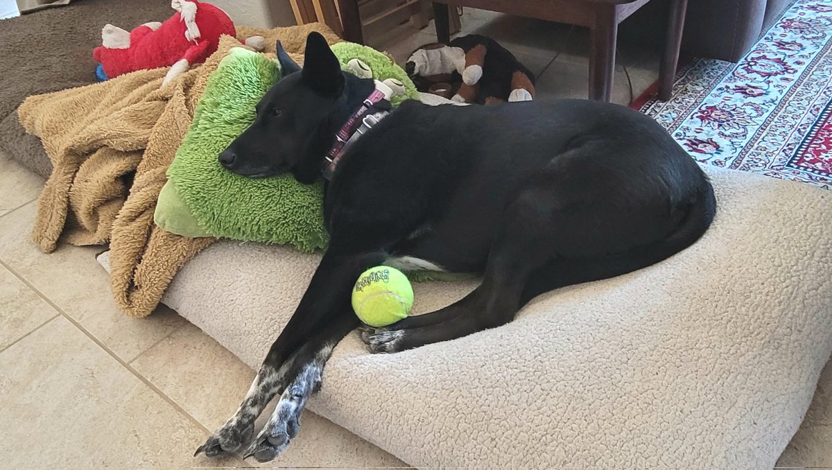 Chilling out