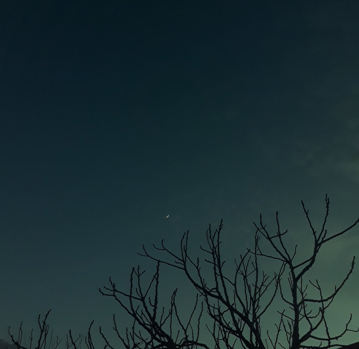 elifvera 📷 tweet media