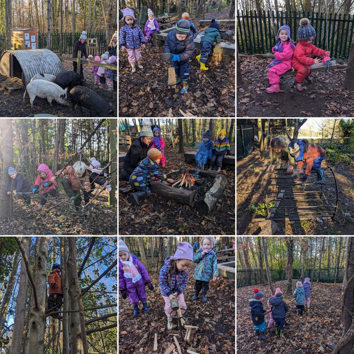 The only thing blue about this Monday was the sky! ☀️🌳 Preschool had a glorious Forest School session; feeding the pigs 🐷 chopping wood 🪓 climbing 🪜 making a fire 🔥 hanging out with friends 🤗 @DanesfieldSchl @DanesfieldFS