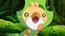 Hd4O4's tweet photo. @kuromibatwingz Sewaddle! Look at the cutie!! https://t.co/XHa4gyKKTp