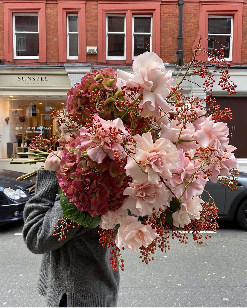 dianna deoan tweet media