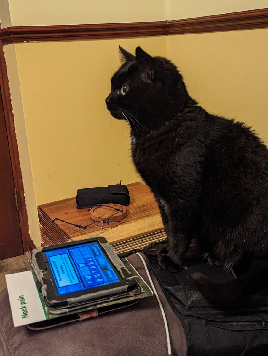 NachoandSalsa's tweet photo. @8Outof10Cats @CatsDoCountdown Here's Charlie he's 1 out of 3 cats that do countdown in this house #CatsOfTwitter @jimmycarr #countdown #8outof10cats https://t.co/igl4CNXyxp