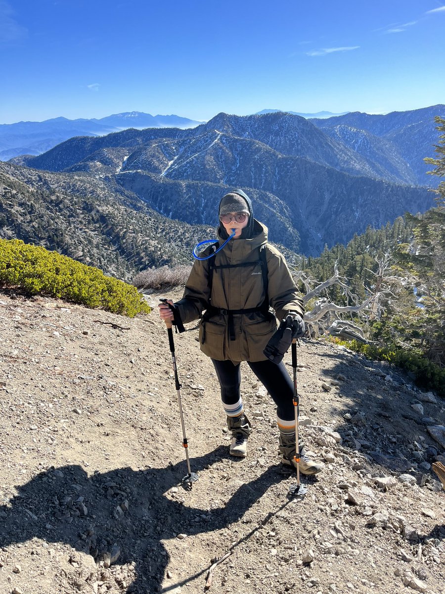 morgan young tweet media