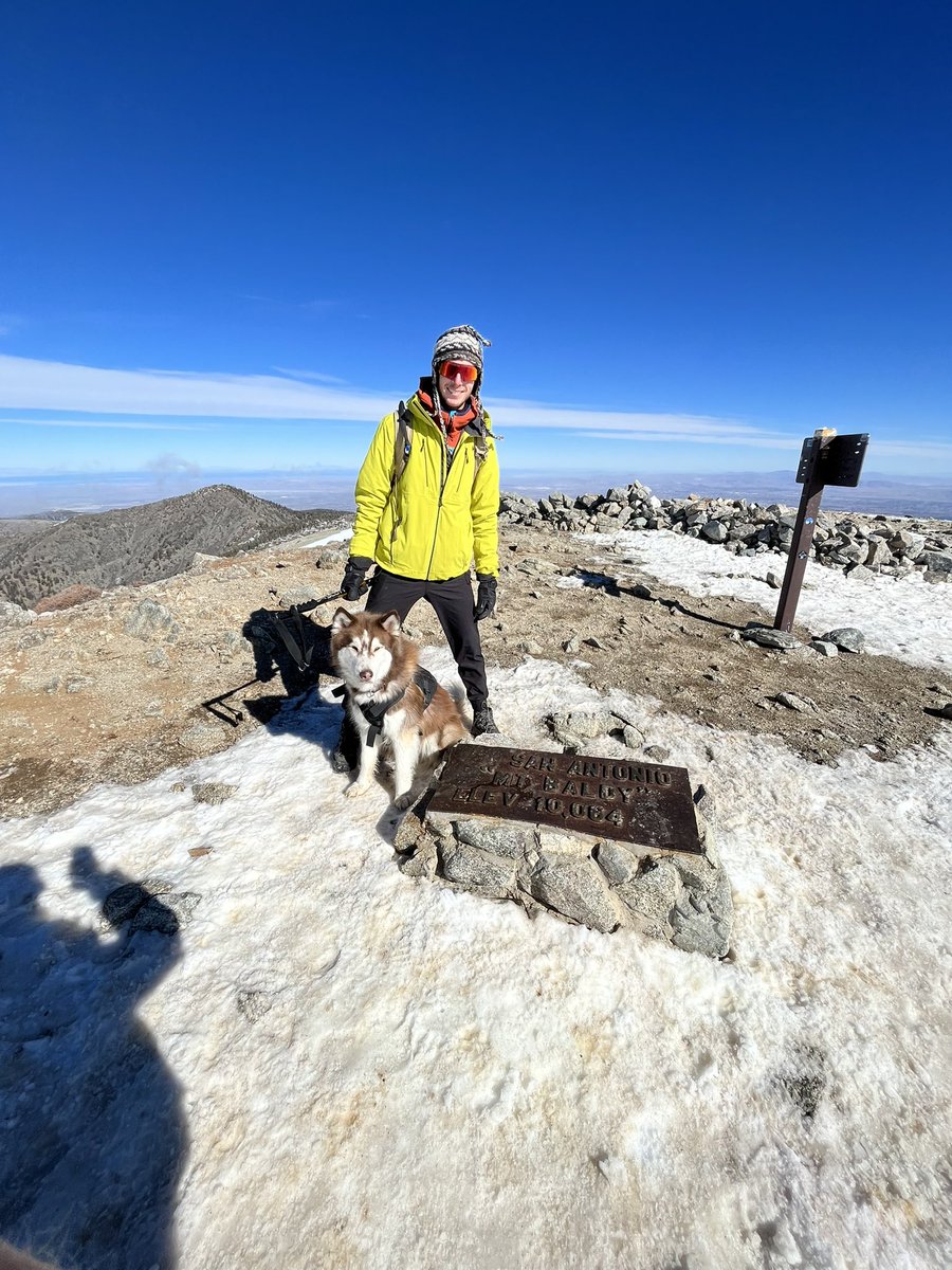 morgan young tweet media