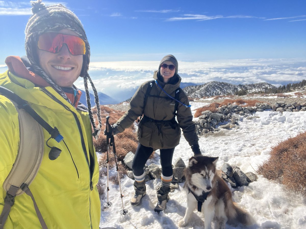 morgan young tweet media