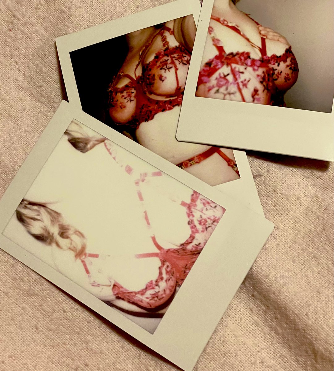 _NaughtyHer's tweet photo. If you think I’m pretty, 
       Lay your hands on me. 

♡ 23 
♡ She/her 
♡ bisexual
♡ + size woman! 
♡ submissive
♡ soft + very hard kinks 
♡ FR/EN 

#nsfwtwt #nsfw #nsfwacc

♡ + ↺ + follow so I can 💌 you. https://t.co/3Lg9IO4ahx