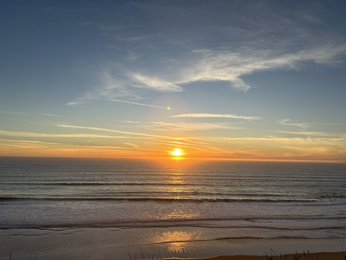 Rootman Perez (@rootmanperez) on Twitter photo 