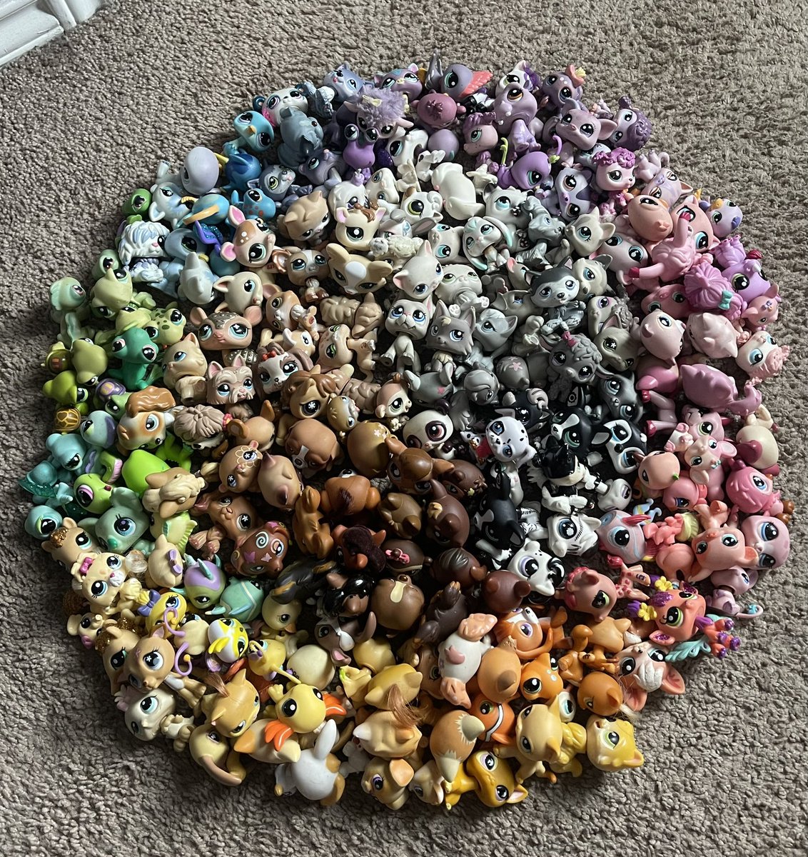 haiii lpstwt 🧜‍♀️🐱