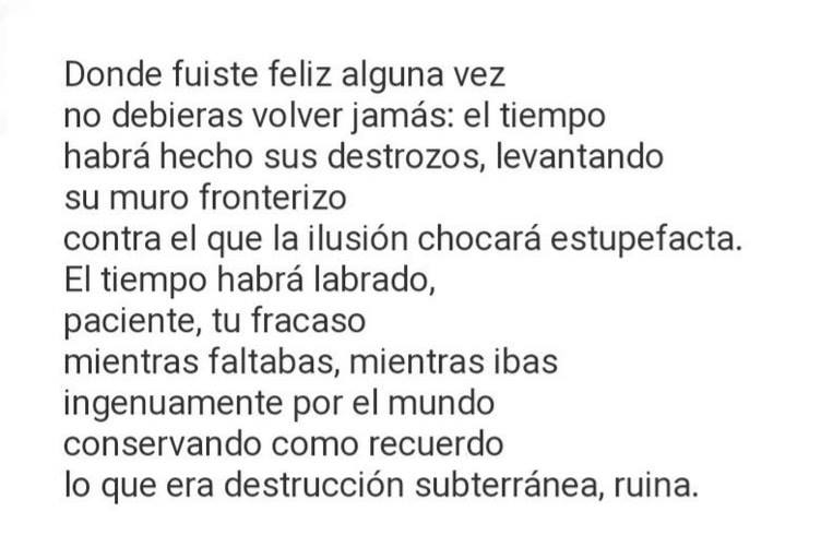 "Donde fuiste feliz alguna vez no deberías volver jamás..."
Félix Grande