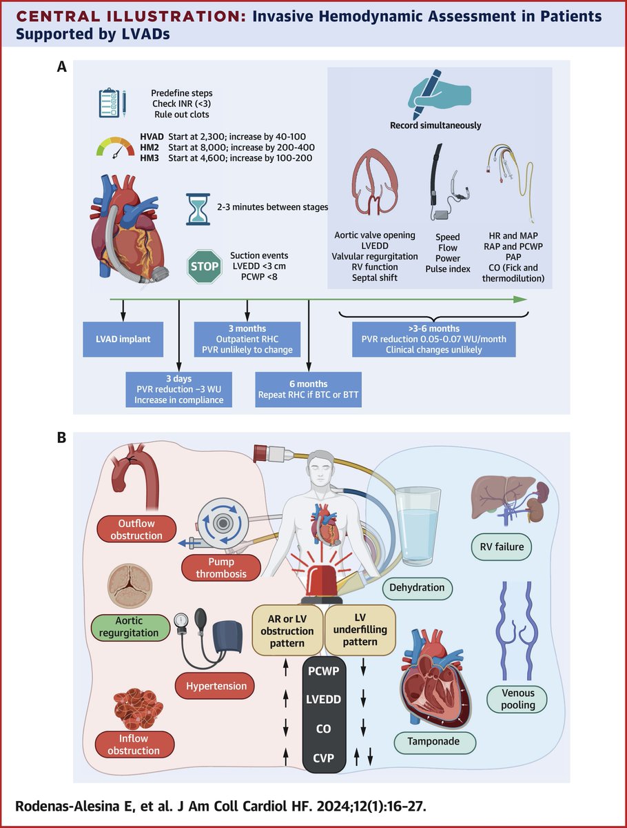New #JACCHF state-of-the-art review provides a comprehensive approach to the use of invasive hemodynamic assessments in patients supported with LVADs. bit.ly/3O36yge #LVAD #HeartFailure @FilioBillia
