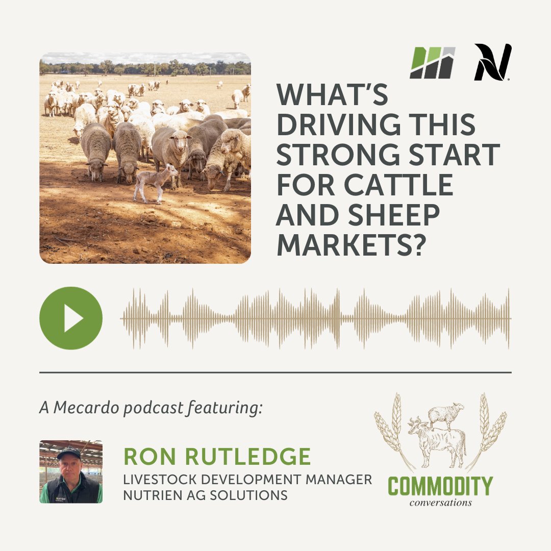 What’s driving this strong start for Cattle and Sheep markets 📈 ?

🎙️ Tune in to find out: podcasts.apple.com/au/podcast/wha…