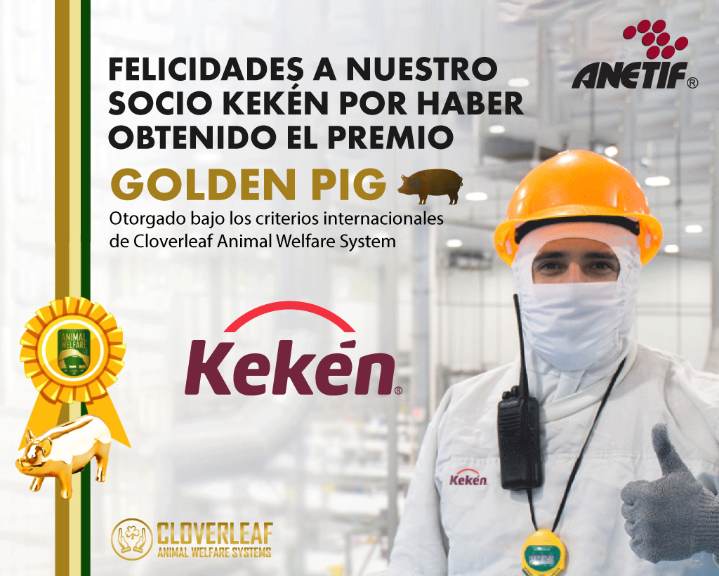 anetif's tweet photo. 👏 Felicitamos a nuestro socio #Kekén por haber obtenido el premio "Golden Pig", el cual es otorgado por el organismo certificador internacional CloverLeaf Animal Welfare Systems. https://t.co/45gavq6w5X