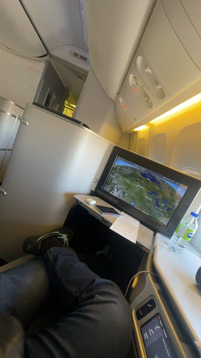 djungelskog tweet media