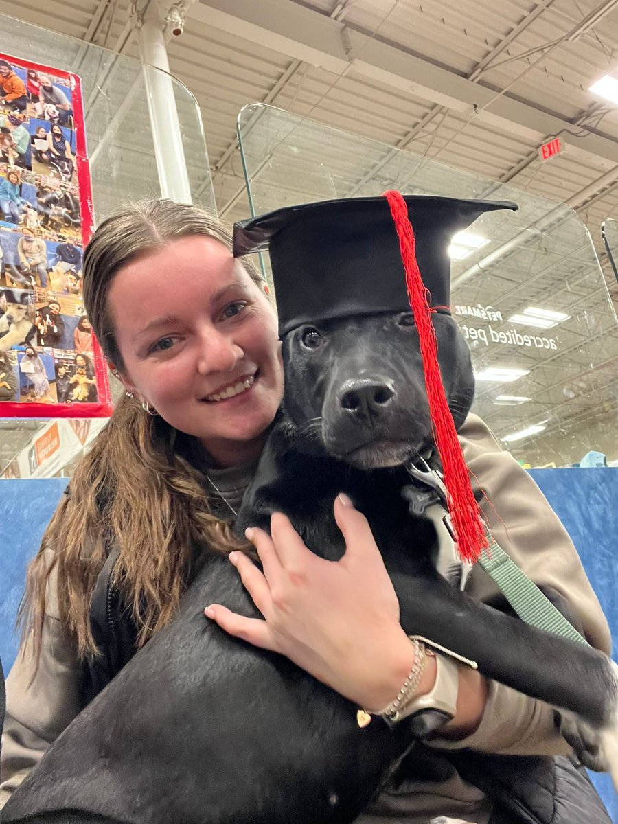 ultravioletagency tweet media