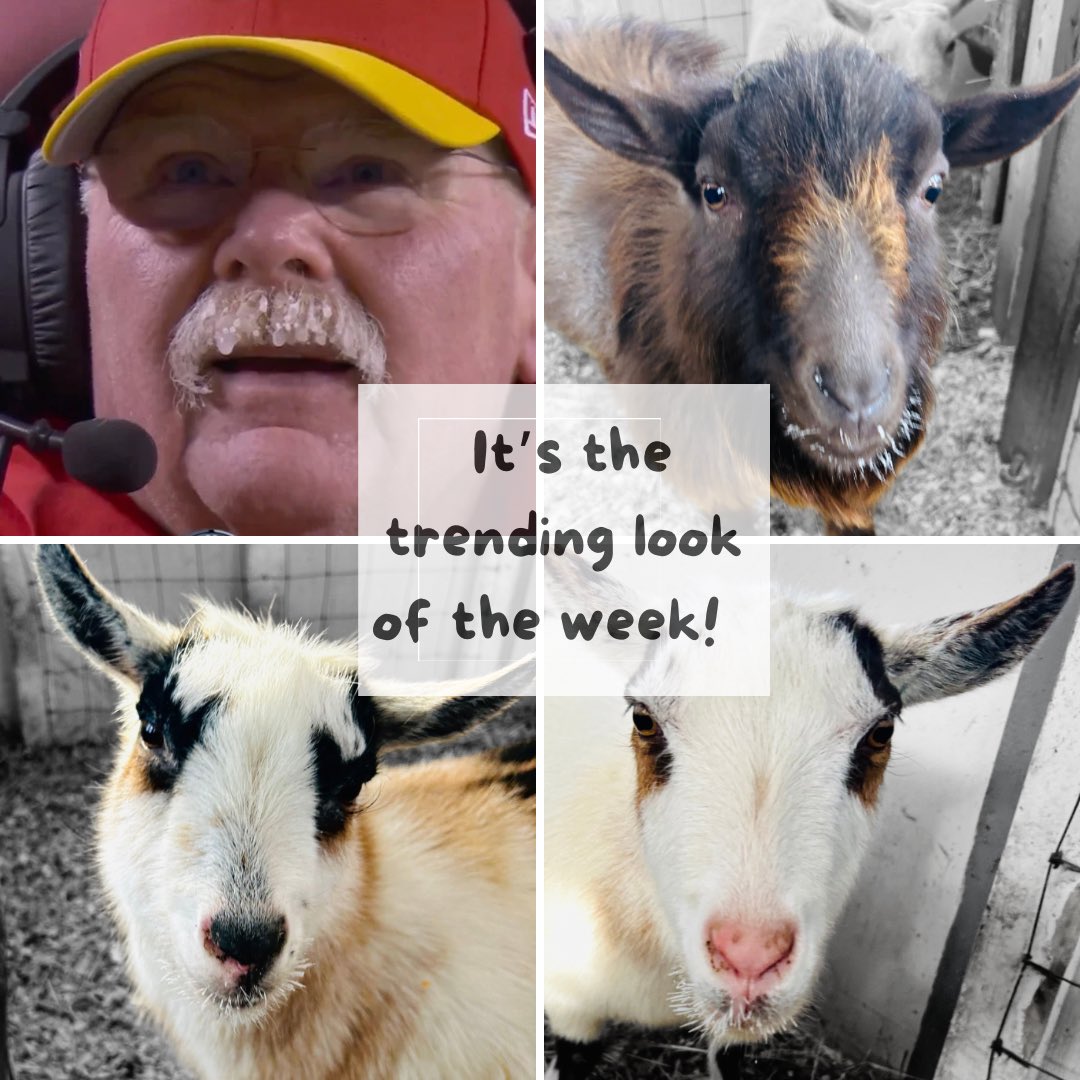 Stay thawed my friends. 

<a href="/Chiefs/">Kansas City Chiefs</a> 

#ChiefsKingdom #goats #PolarVortex #NFL