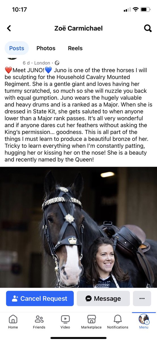 We are proud that Major Juno has been chosen as one of three horses to have a sculpture made of them.                #shirehorse #gentlegiant #heavyhorse #majorjuno #drumhorse #householdcavalry #proud #honour #scultpure #army #girlpower #rarebreed #welsh