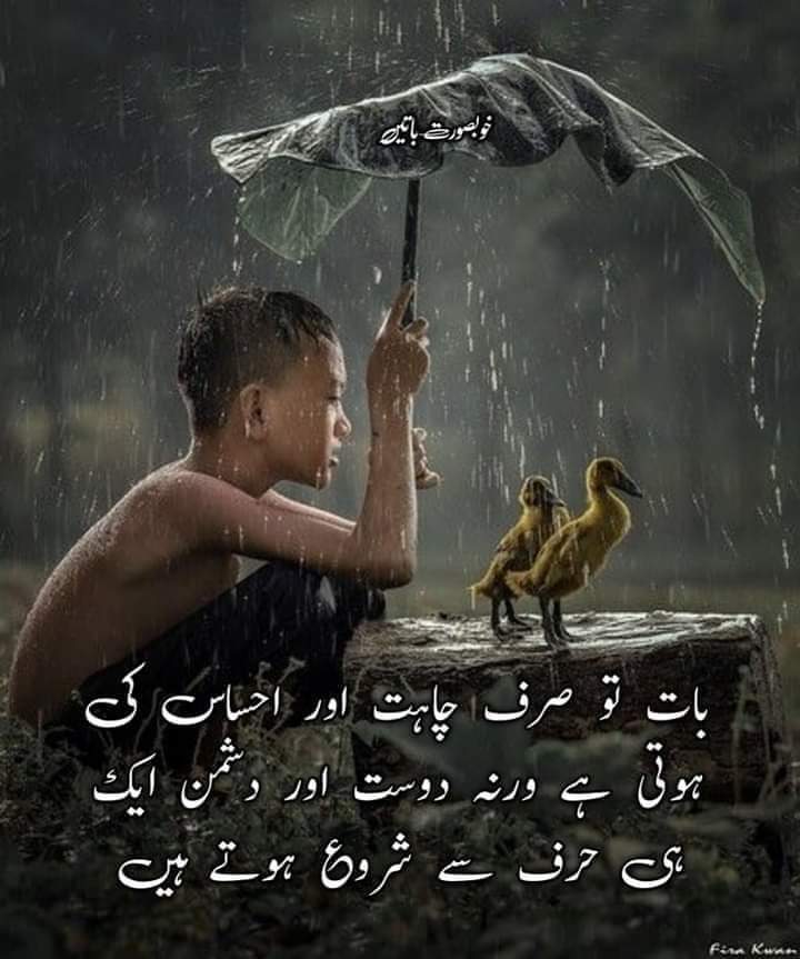 Good night