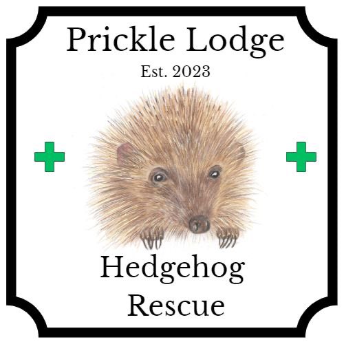 Evening all, I just wanted to share with you that our brand new website pricklelodge-hedgehogrescue.org is up and running. Please check it out (if you have a spare few minutes). A special call out to Pauly @HedgehogCabin who has reviewed the content prior to publication #hedgehog