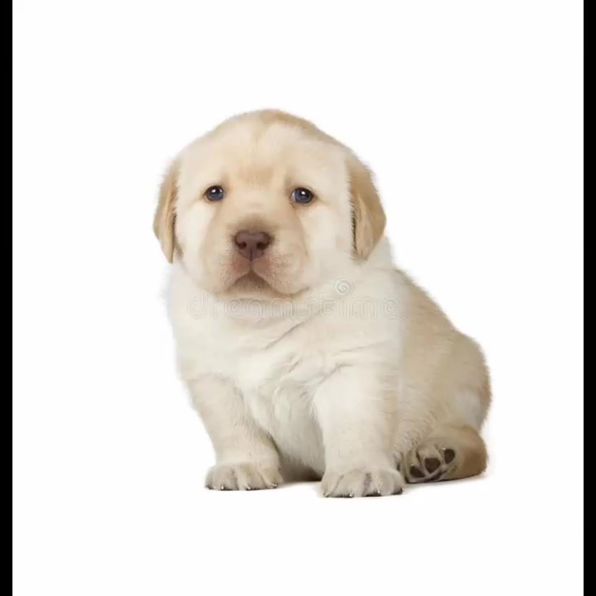 Página Séria. tweet media