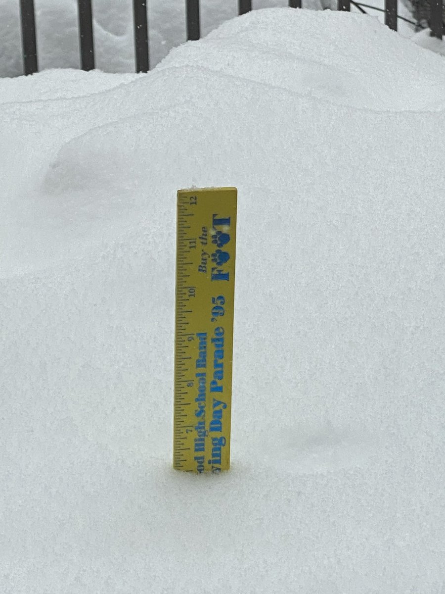 Angie Harris tweet media