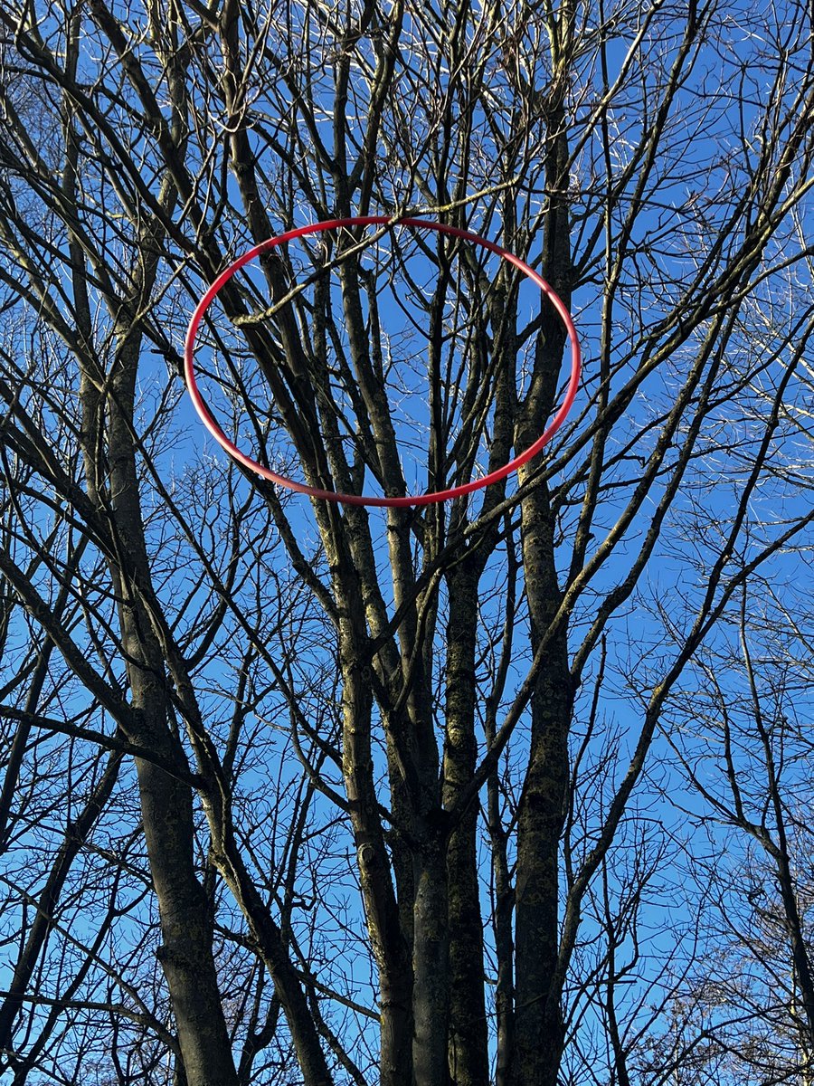 EastMortonCEP's tweet image. A hoop in a tree means lunchtime was spent problem solving. “We need a tall person” “We need a giant !”  “We need a big stick” “We need a rope” 

The hoop is still in the tree. @WeAreBDAT #primaryfun