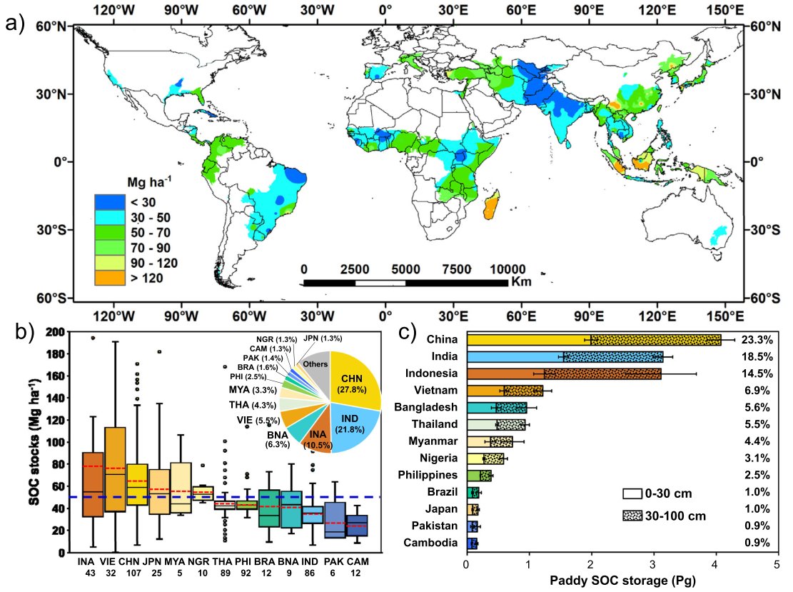 ykuzyakov's tweet photo. 💥Very happy to share 3 next  
🏆Highly Cited (top 1%) papers:
3) Rice paddy #soils are important #carbon store: a global synthesis
https://t.co/fwf9FoyZ5d
in Communications Earth &amp; Environment
#SoilOrganicMatter #sequestration #Rice #paddy #paddysoil #global #ecosystems #landuse https://t.co/hRpkf1mMXy