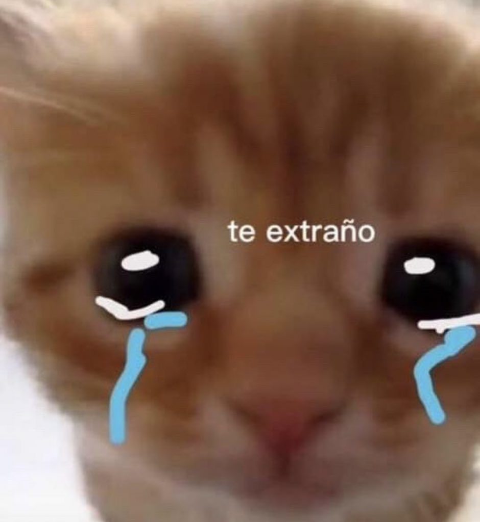 miau tweet media