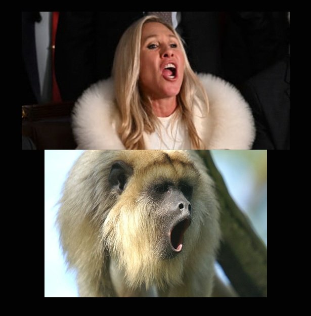 LowMaga's tweet photo. @RonFilipkowski Any similarity is just a coincidence... https://t.co/WUp3jdF5cs