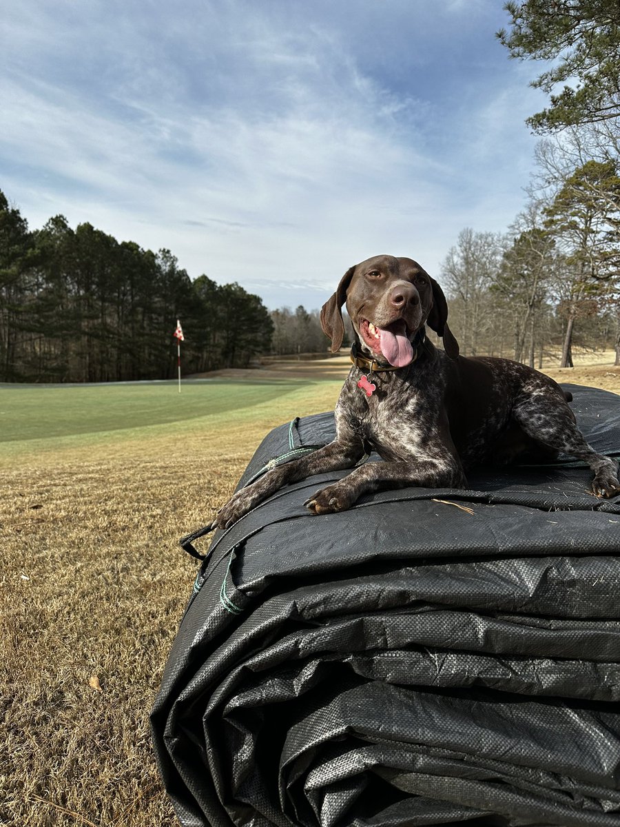 The best greens cover puller this side of the Mississippi.