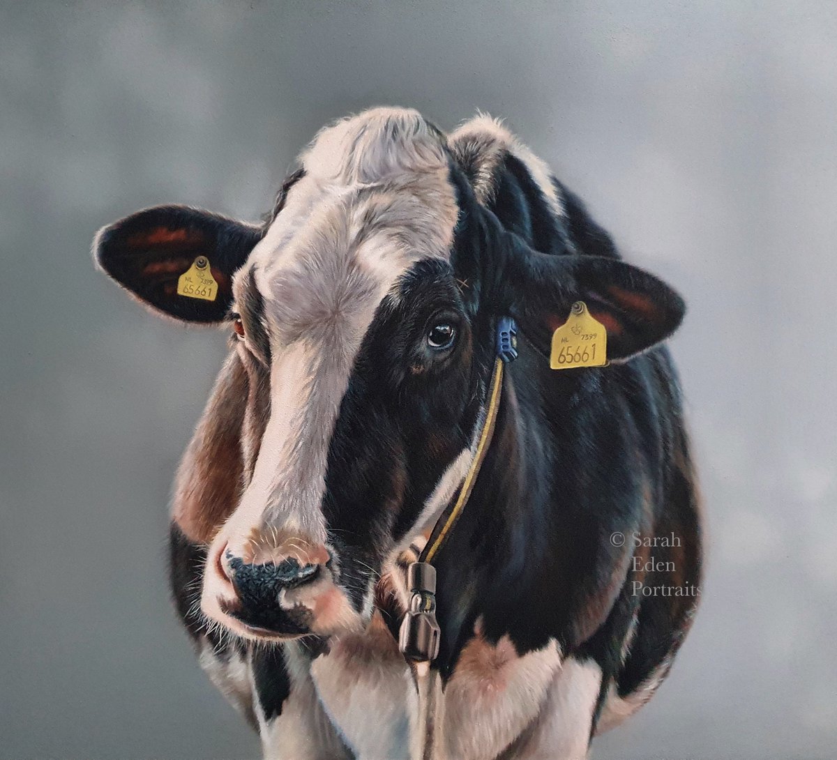 Thought 'No.61' was definitely worth a repost. 

I was honoured to be asked to paint this commission to commemorate the life of a much loved husband and father, who was passionate about his farming and his dairy herd in particular!

#dairycows #cow #farming #cowpainting #cattle