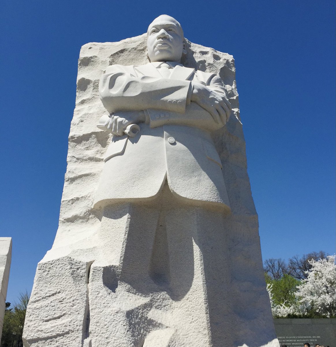 Mary Gallivan Coaching tweet media