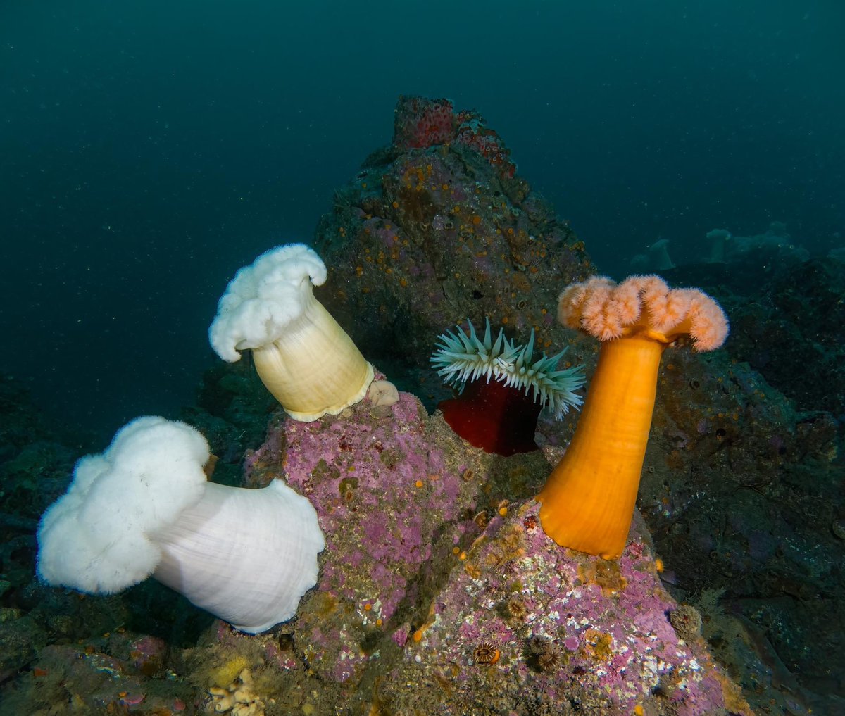 wtf  is going  on in the  sea ??         fundamentally    unserious  place