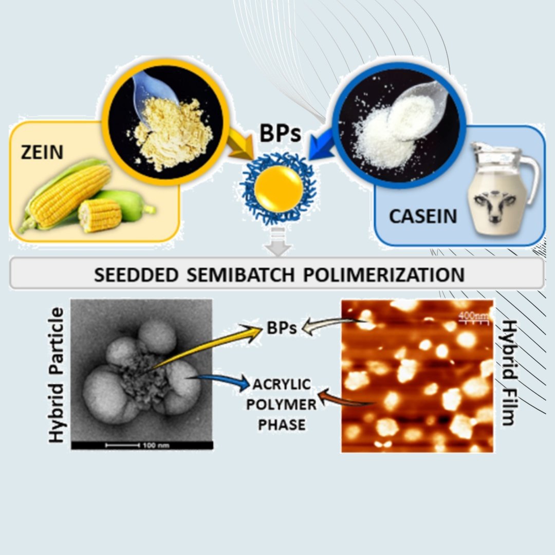 Grupo de Polímeros - INTEC tweet media