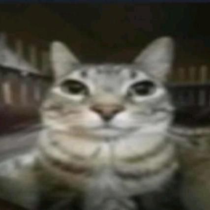 MRRXD4 tweet media