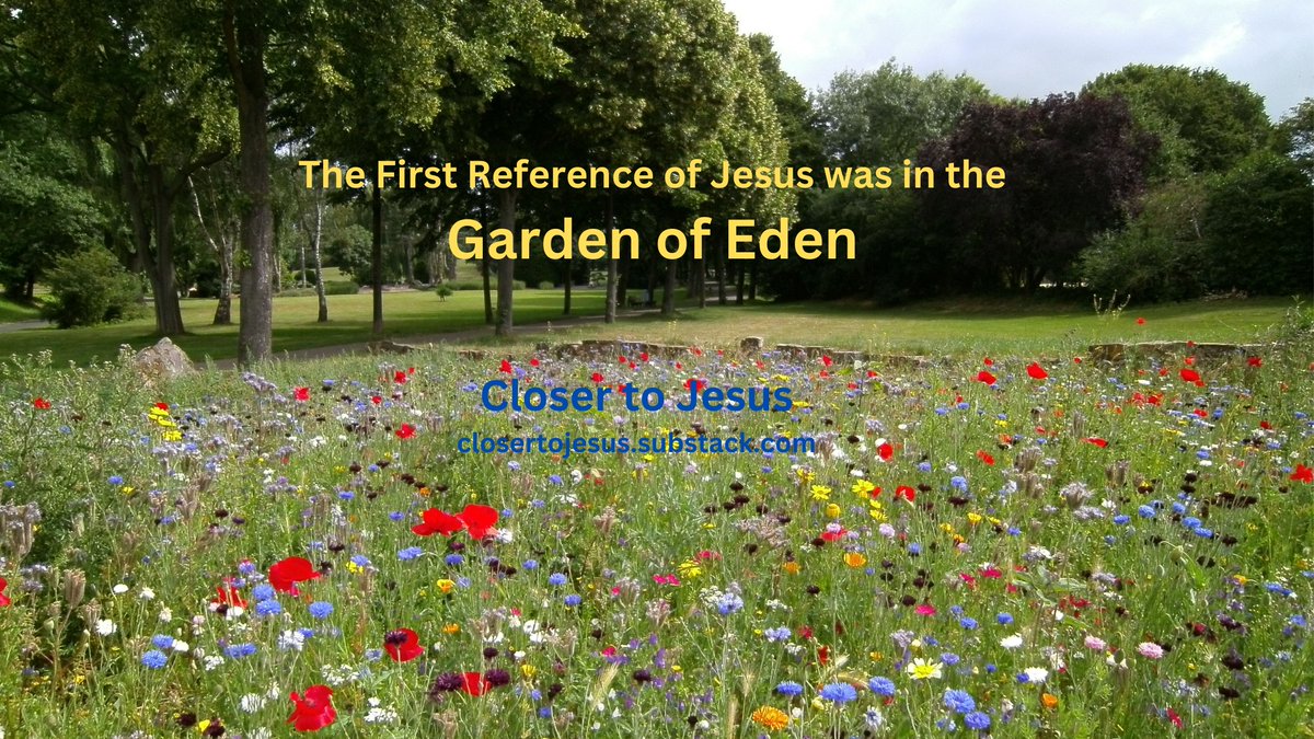 ckmcclafferty's tweet photo. The first reference to Jesus was in the Garden of Eden, when God spoke to the serpent, Satan. https://t.co/kf26lFwXf2 @greatershilohbc @ChristianPost @BaptistPress @immanuelbaptist @BrightHopeBC @LCBCchurch @LIFEChurchHome https://t.co/XlNMbgHh6T
