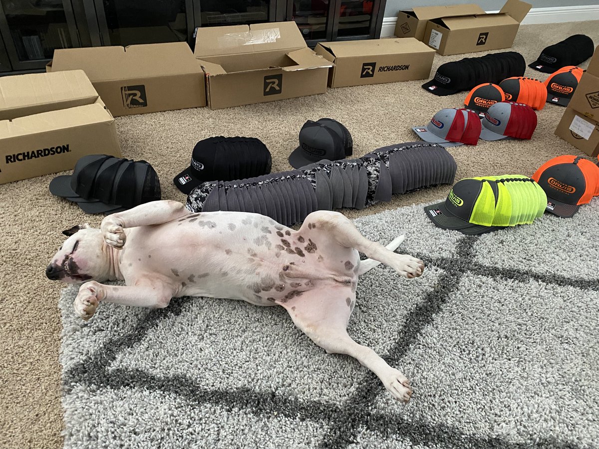 HAPPY NATIONAL HAT DAY!!
We all have one of those co-workers that lays down on the job. 
THANKS for the 'help' with hat inventory...
#NationalHatDay #PuppyCoworker #WorkFromHome #RichardsonHats #RichardsonSports #Snapback #SnapBackHats #TruckerHat #DavisIndustrial #BullTerrier