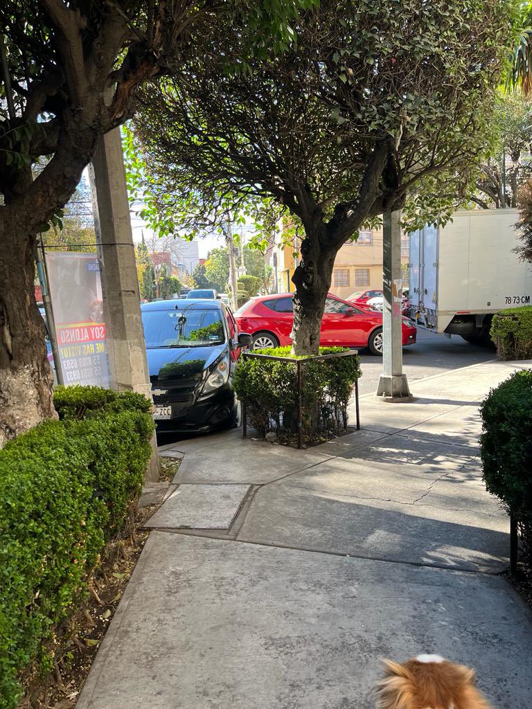 jessjess_rr's tweet photo. Por favor pongan orden en las calles, franeleros “apartan lugar” e invaden pasos peatonales con tal d estacionar y cobrar y peor quien paga!
Dense una vuelta en C.Eugenia y San Francisco (03100), verán las esquinas atascadas de autos @STaboadaMx @BJAlcaldia @UCS_GCDMX @OVIALCDMX https://t.co/T7PlSHtH0S