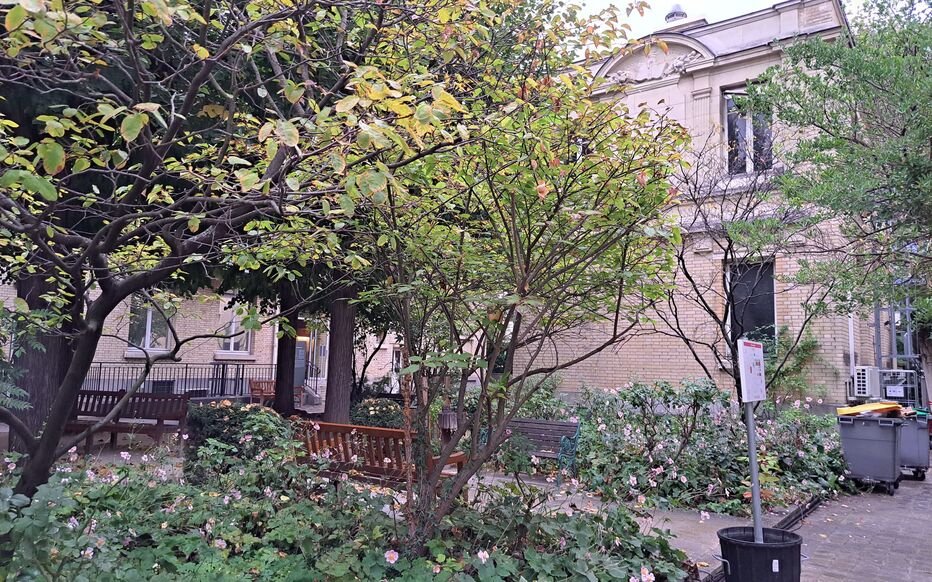 FelixRuizH's tweet image. Primer texto para Misteriored en 2024. Marie Curie: el destino del Pavillon des Sources pende de un hilo. A punto de cumplirse 90 años de la muerte de Curie, el laboratorio se debate entre la demolición o la conservación. La polémica está servida.

misteriored.com/marie-curie-el…