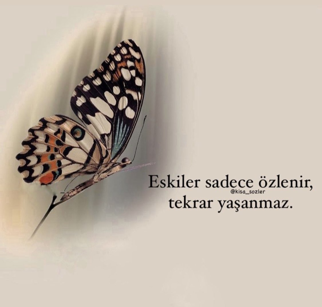 mahmut1234's tweet photo. https://t.co/AnqbMuDLpZ
