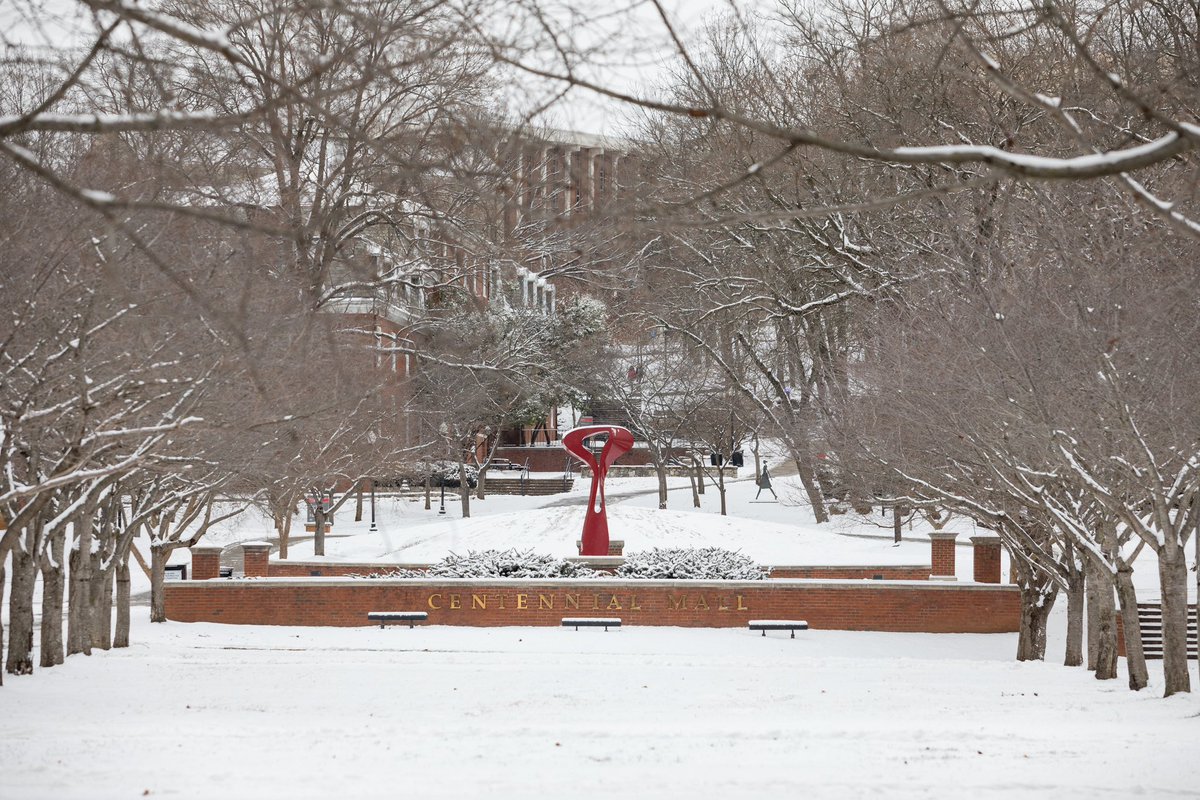 There’s nothing like a snowy day on the Hill. ❄️ ⁣ Stay safe and warm, Hilltoppers! ⁣ 📸 Clinton Lewis | WKU Communications & Marketing ⁣⁣ #WKU #WinterAtWKU #SnowDay #Winter #BeautifulCampus