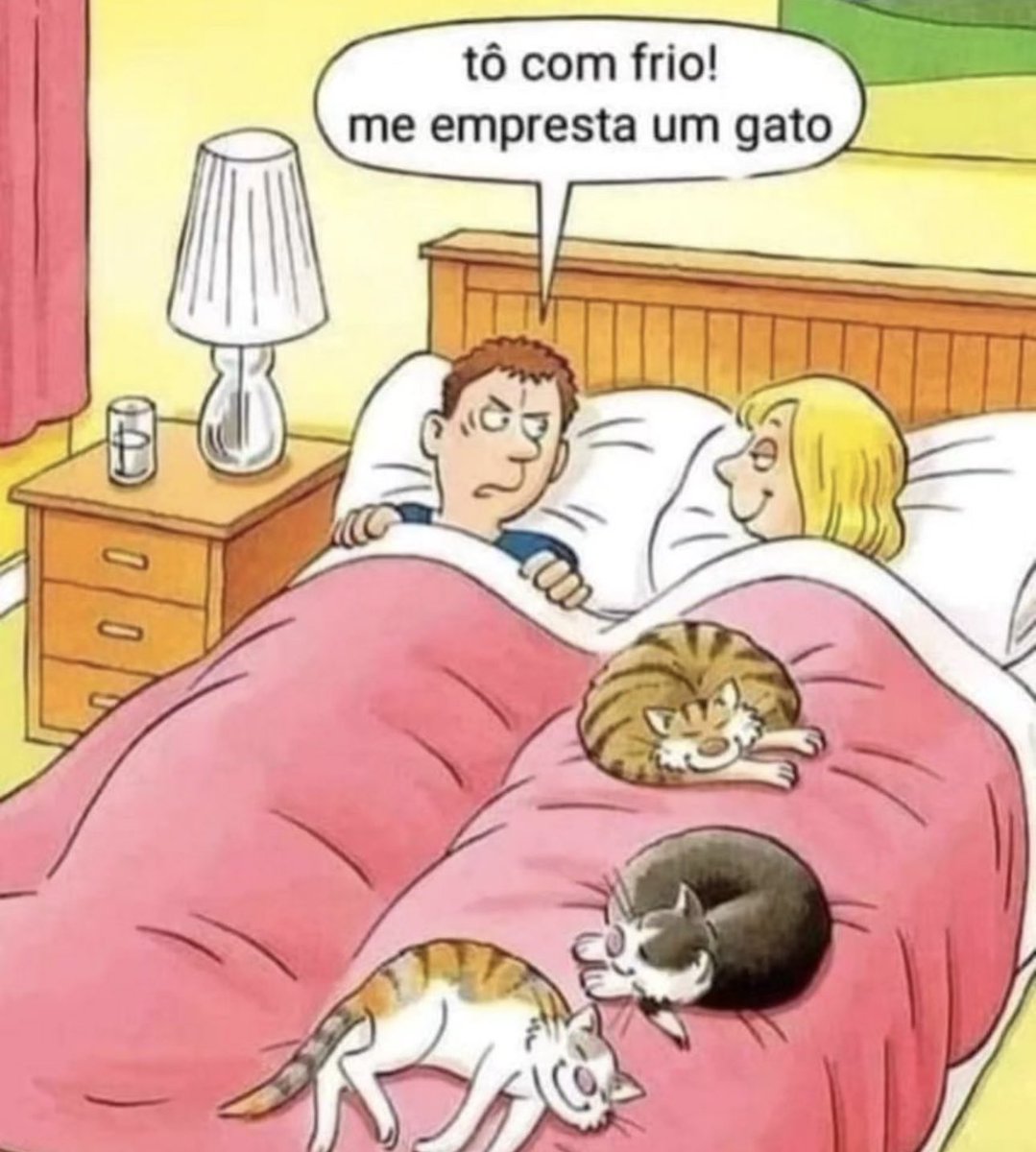 shitpostverdade's tweet photo. https://t.co/fL1RVIlsXi