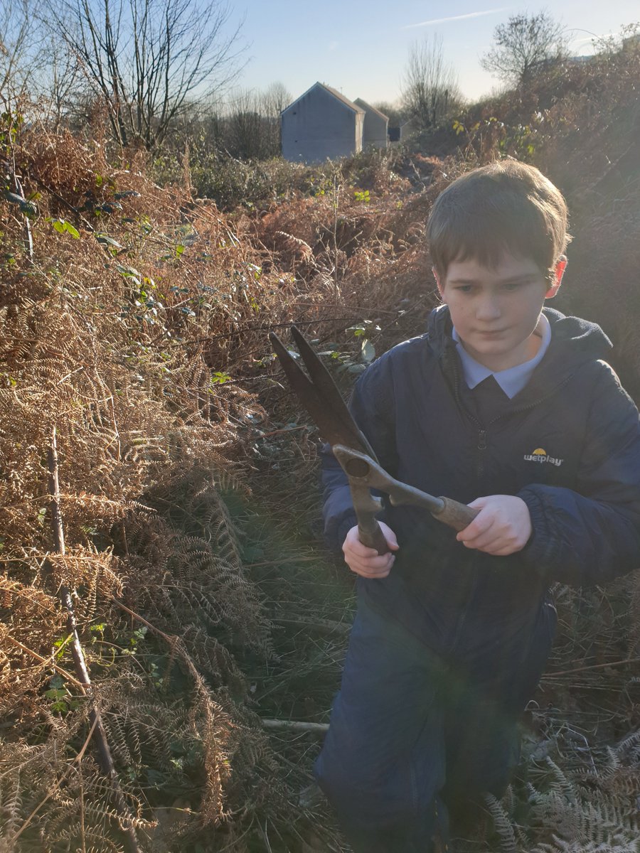 PPS_SRB's tweet photo. An epic session in forest school today,  we cut down brambles to make a path to an area we haven't seen in ages due to it being over grown.  #forest  #adventur https://t.co/VU5pouJ85m