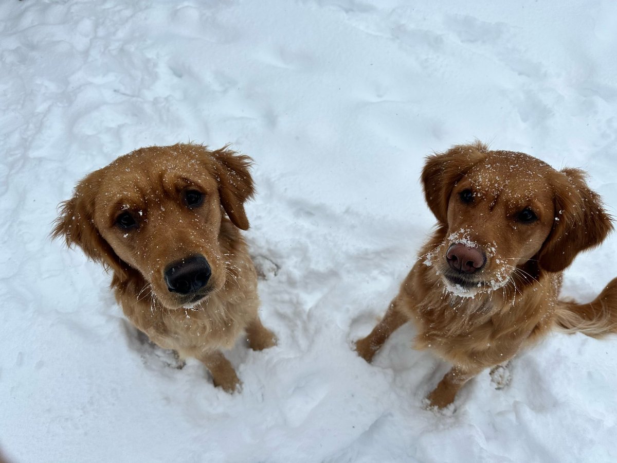 Mark Vikingstad tweet media